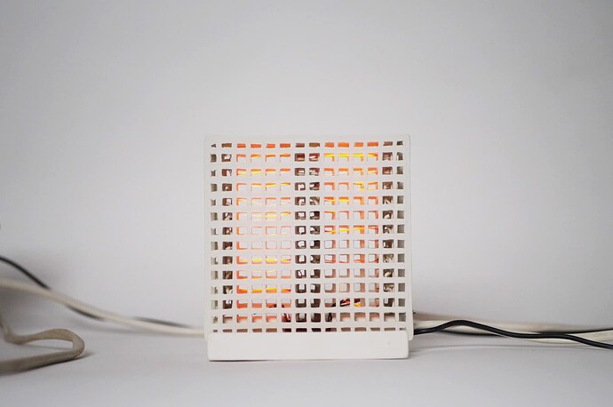 P1033110 copie 11 (2)