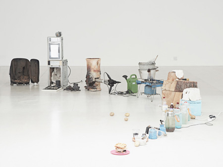 the toaster project Thomas thwaits 2